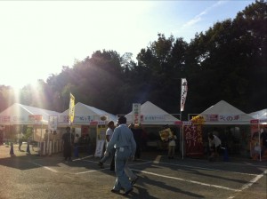 IMG_2852last