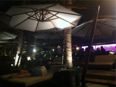 SEBIMG_2733