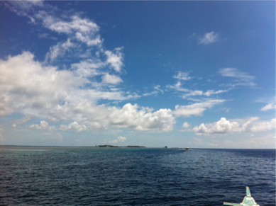 SEBIMG_2745
