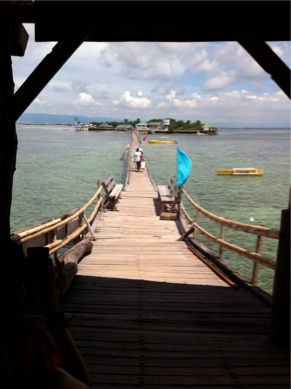SEBIMG_2748
