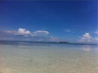SEBIMG_2754