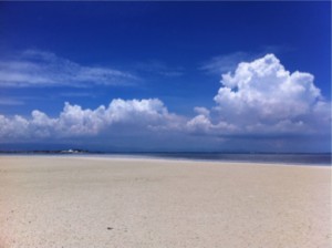 SEBIMG_2757