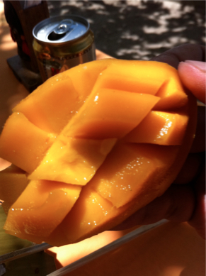 SEBIMG_2766