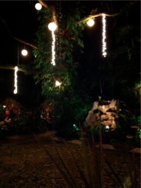 SEBIMG_2776