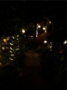 SEBIMG_2777