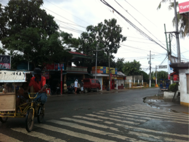 SEBIMG_2778