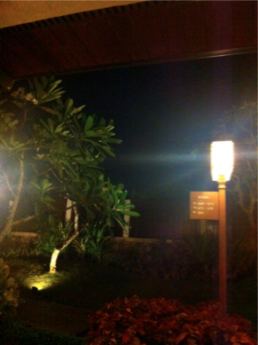 SEBIMG_2803