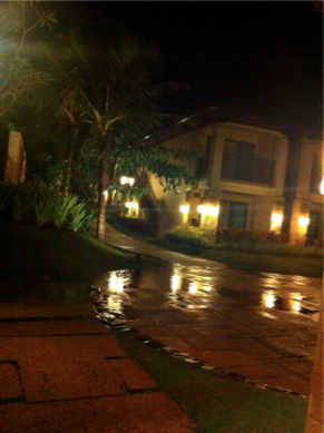 SEBIMG_2804
