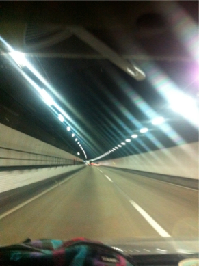 SEBIMG_2842