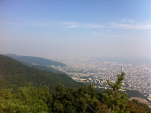 IMG_2924 IMG_2924