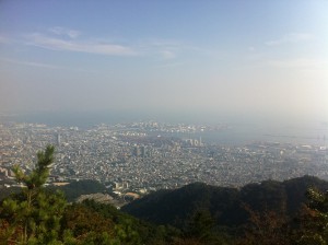 IMG_2925 IMG_2925