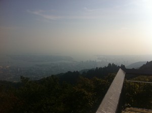 IMG_2926 IMG_2926