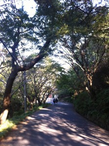 IMG_2932 IMG_2932
