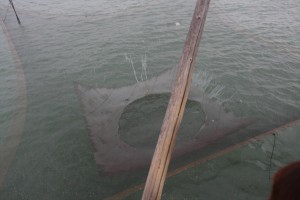 IMG_2012