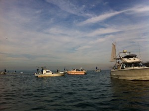IMG_3129