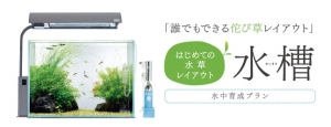 ピクチャ 2