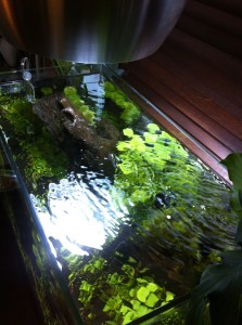 IMG_3619