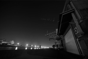 BOSS_DSC1205
