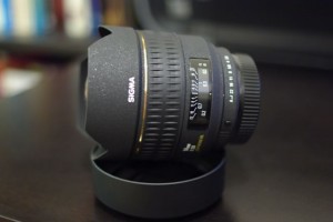 IMGP2994