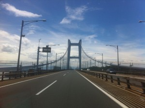 IMG_4571