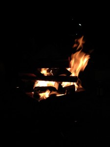 IMG_4655