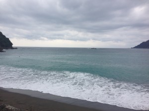 IMG_4775