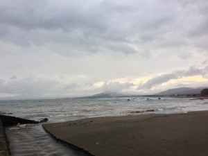 IMG_4780