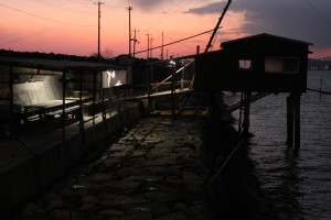 IMG_3235