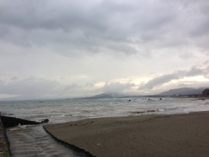 IMG_4779