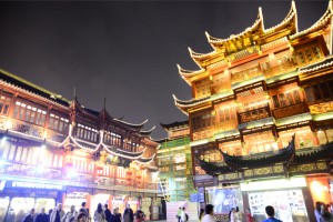 S_DSC4634